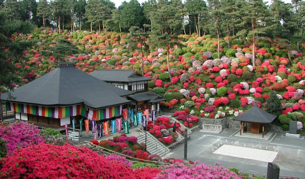 🌸 시오후네 관음사(시오후네칸논지) 이미지 3